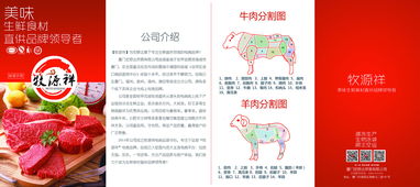 高效傳播的藝術(shù) 從產(chǎn)品手冊(cè)到折頁廣告的全鏈條廣告代理解決方案